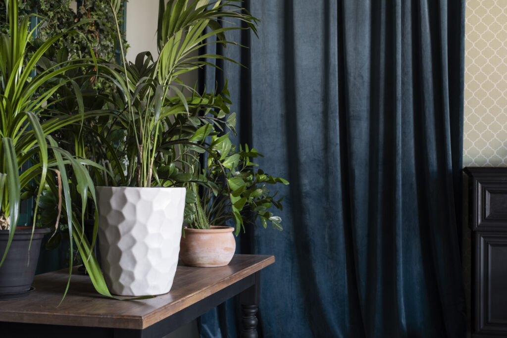 Earthy Color Palettes